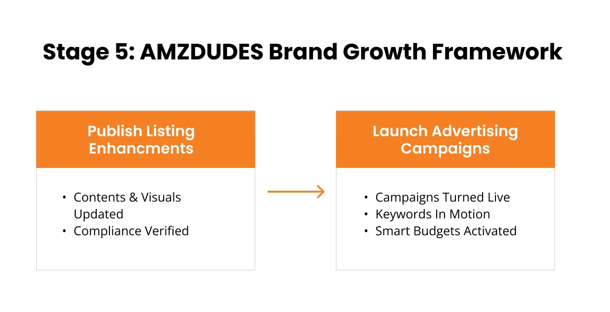 image showing stage 5 of AMZDUDES brand growth framework